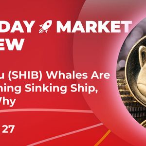 Shiba Inu (SHIB) Whales Are Abandoning Sinking Ship, Here's Why