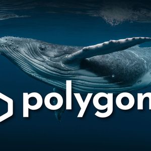 Polygon (MATIC) Ancient Whale Drops His Holdings, Here's Why