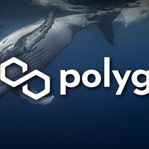 Millions Of Polygon’s MATIC Sold by Unknown Whale Hours Before Price Fall