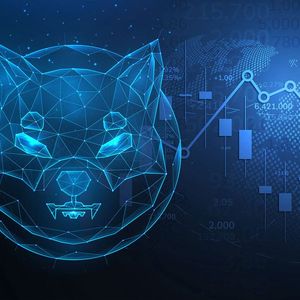 Shiba Inu (SHIB) Forms Important Signal After 20% Rise