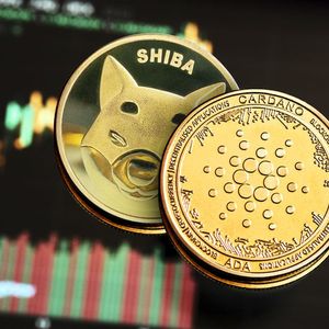 Shiba Inu (SHIB) and Cardano (ADA) Show Something You Don't Want to Miss