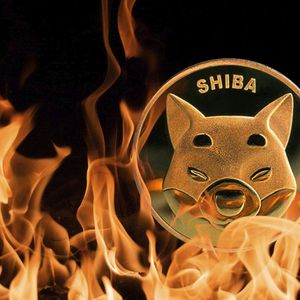 Here's SHIB Burn Rate Reaction to Recent Shiba Inu Price Performance