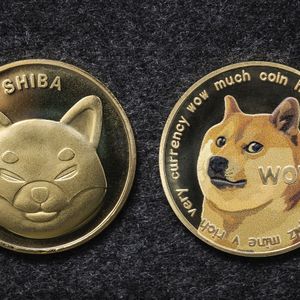 CEO Slams Shiba Inu (SHIB) and Dogecoin (DOGE) as “Garbage”