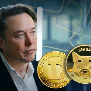 Elon Musk’s and Shytoshi Kusama’s Mysterious Tweets Explained by Dogecoin (DOGE) Founder