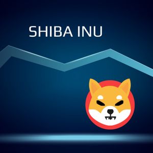 Shiba Inu Burn Rate Spikes 1,364% As The Following Happened to SHIB