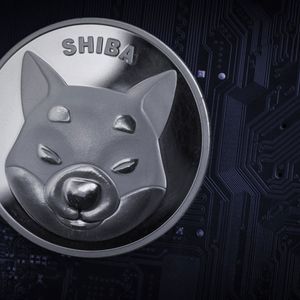 223 Billion Shiba Inu Acquired As Lead SHIB Developer Raises His Head About Shibarium