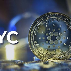Cardano's Network: Pros and Cons of KYC Implementation