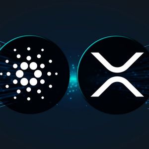 CEO Trashes XRP and ADA. Are They Really Worth Nothing?