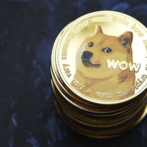 Dogecoin (DOGE) Sits Out Recent Upsurge, Are Whales Planning a Move?
