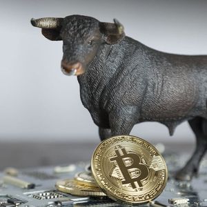 Bitcoin (BTC) Delivers Important Bullish Signal For First Time In Over Year