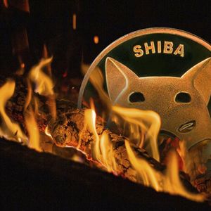 Shiba Ini (SHIB) Burn Rate Continues to Decline, Here’s What May Be Keeping It Down