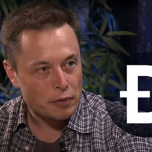 Elon Musk Angry with Dogecoin (DOGE) Creator on This Issue: Details