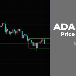 ADA and BNB Price Analysis for February 25