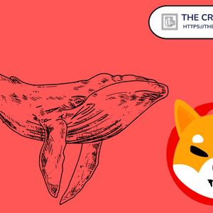 Top Whale Adds 4.15T Shiba Inu to Become 27th Biggest SHIB Holder