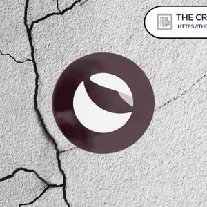 Terra Classic (LUNC) and L1 Task Force Developers Resign Due to Private Info Doxxing