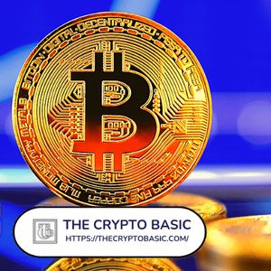 Michael Saylor Says Politicians, Regulators, and Investors Endorse Bitcoin as Valuable International Asset