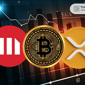 MicroStrategy Could Have Seen 2x Gains If It Bought XRP: Ex-Ripple Director