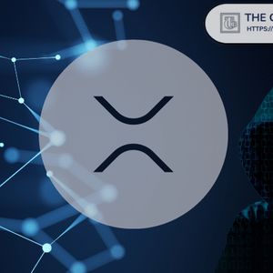 User Loses $71,000 in XRP, Here’s What Happened