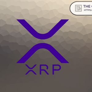 XRP Showing Network Growth Despite Bearish Price Activity