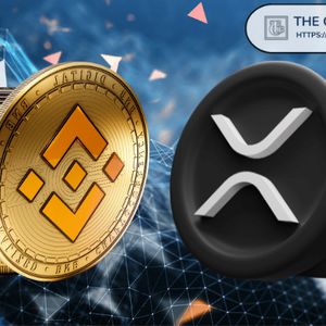 Expert Sees BNB at $2,000, Predicts XRP Price