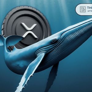XRP Whales Offloading Up to $50,000,000 in XRP Per Day