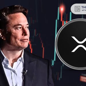 Here’s When Last Elon Musk Interacted With XRP