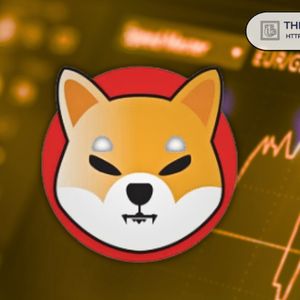 Shiba Inu Faces Deeper Decline if Price Falls Under This Support: Analyst