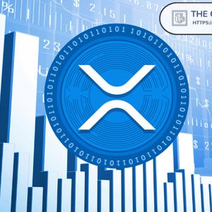 Tradeship University Founder Says XRP Is About to Make a Massive Move Tradeship University Founder Says XRP Is About to Make a Massive Move