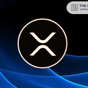 Expert Says He Wants XRP to Succeed but Share What Bothers Him