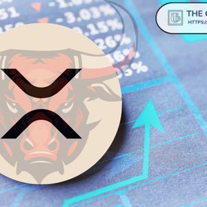 Teucrium CEO Says the Last Half of November Will Be Big for XRP