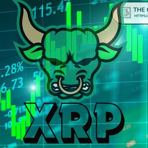 Expert Says 12 XRP ETFs Could Bring in $2.94B in a Day: Here’s How