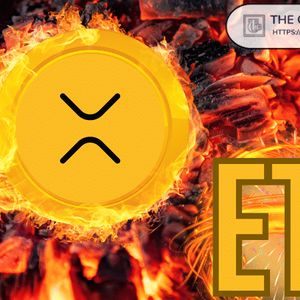 Analyst Predicts How Many XRP ETFs Could Accumulate in 1 Year