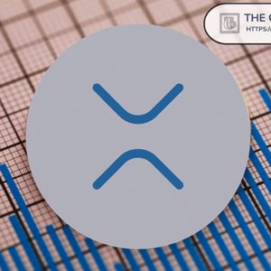 Analyst: This Is Exactly What I’m Preparing You for With XRP