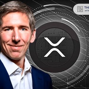 Bitwise CIO Says XRP Is Getting Much Better at Capturing Value for Holders