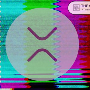 Experts Say Why No Other Asset Than XRP Experiences 45X Glitches