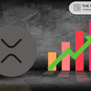 Crypto Founder Says XRP Will Decouple Over Time, Gradually, Quietly, and Then Suddenly