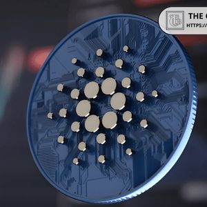 Cardano: Top Midnight Wallet Holds 7.3B NIGHT Tokens, 31% of Supply
