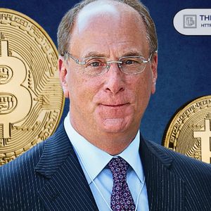 BlackRock CEO Reveals Multiple Sovereign Funds “Incrementally” Buying the Bitcoin Dip