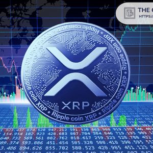Crypto Founder Says XRP Holders Chase Big Gains but Most Aren’t Ready for What Comes After