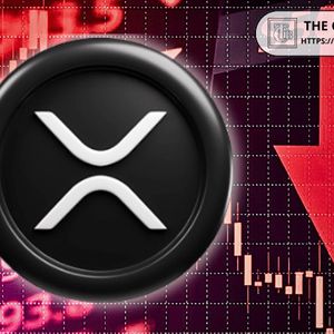 XRP Has Most Aggressive Short Positions as It Is Almost Entirely Shorted — Only 4% in Longs