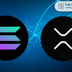 EasyA Founder Says Solana Now ‘More Bullish on XRP Than SOL’