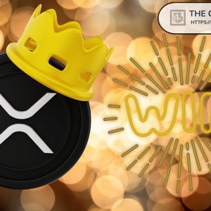 People With Higher IQ Are More Likely to Hold XRP: World Record Holder