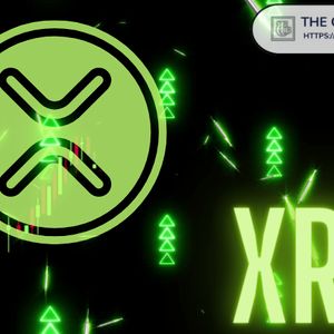 Pundit Says People Laughing at XRP Will ‘End Up Crying for Life’