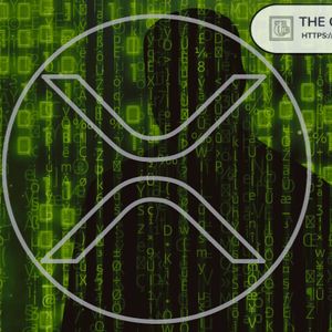 Trident Podcast Host Loses Entire XRP Balance: Details