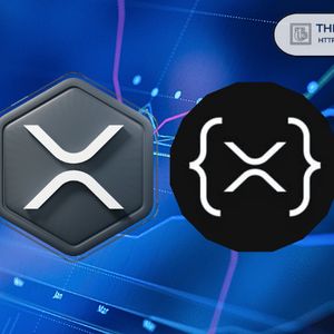 XRP Non-Empty Wallets on the Rise Despite Dip—Here’s the Current Figure