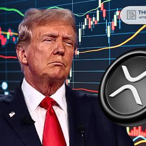 Here’s How Much XRP Price Has Dropped Since the ‘Crypto President’ Took Office