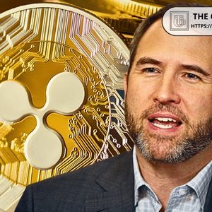 Ripple CEO: Nobody Can Manipulate XRP Prices