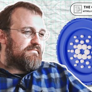 Hoskinson Says Midnight Won’t Kill Cardano, But Will Expand Its DeFi Ecosystem by 10x