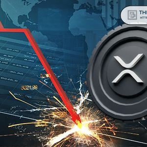 Top CEO Says XRP Price Weakness Is Temporary