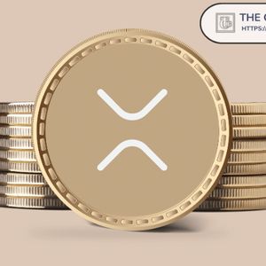 Crypto Founder Says You Need To Hold at Least 1,000 XRP, If You are Serious About Your Finances